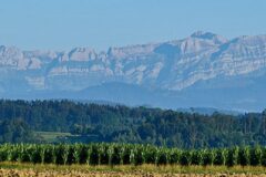 07-15 - Ballon vor dem Säntisgebirge 